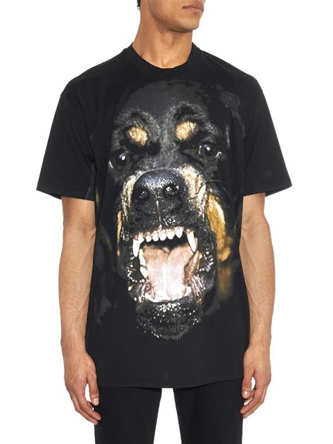 givenchy rottweiler print t shirt|givenchy rottweiler shirt price.